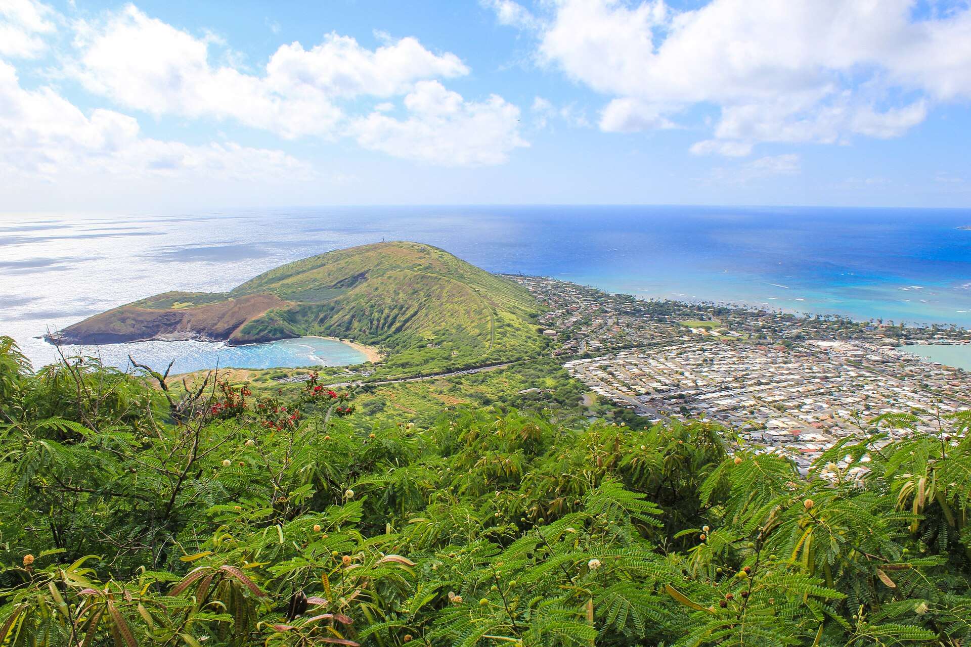 Hanauma Bay's crater curve from the Koko Head trail