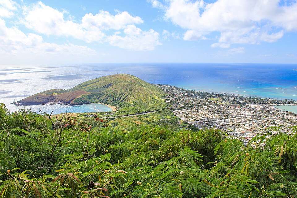 Hanauma Bay's crater curve from the Koko Head trail